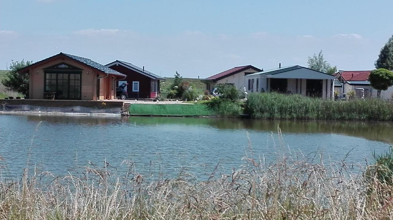 Het Boothuis Villa Синт Аналанд Екстериор снимка